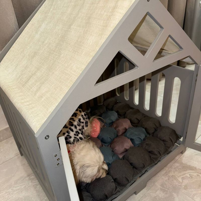 Sleek cat house with enclosed wooden structure