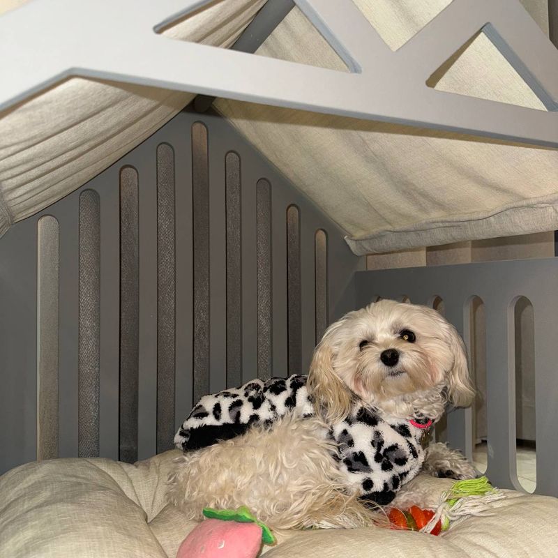 Dog bed with solid wood frame and soft washable insert