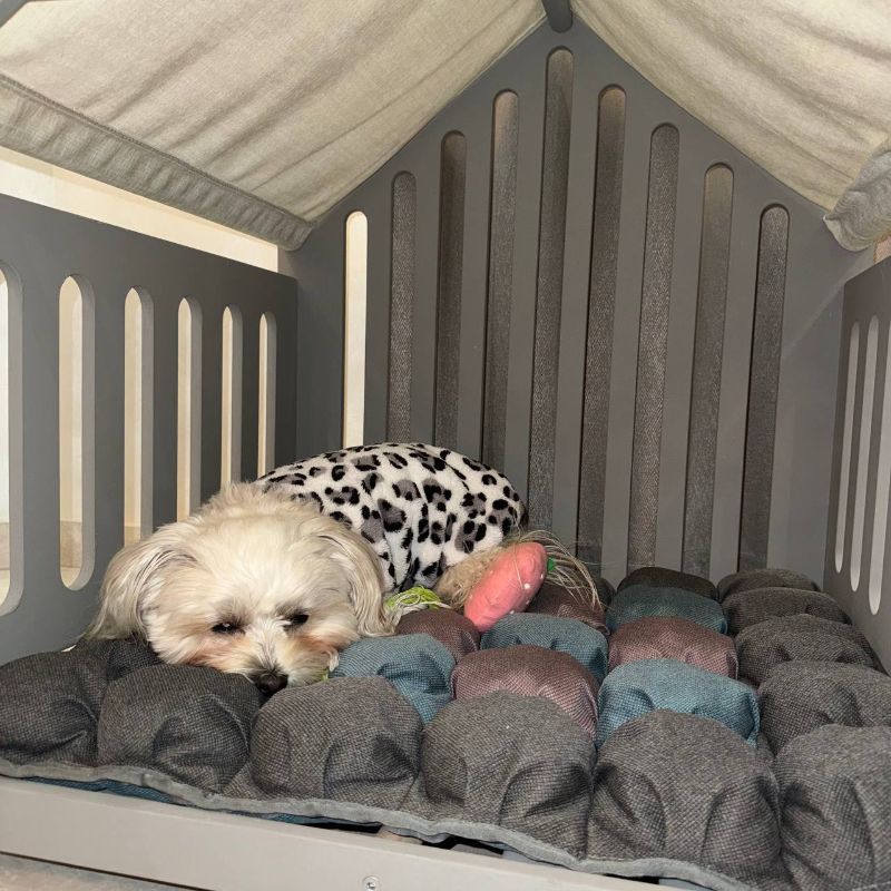Natural wood pet crate that blends with home interiors