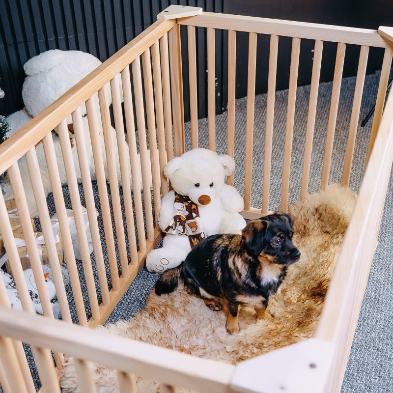 Wooden dog enclosure designed for indoor puppy training