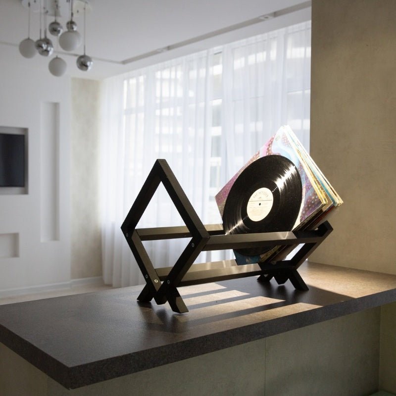 Stylish Wood Vinyl Record Storage Solutions Stands, Shelves Holders for Your Collection